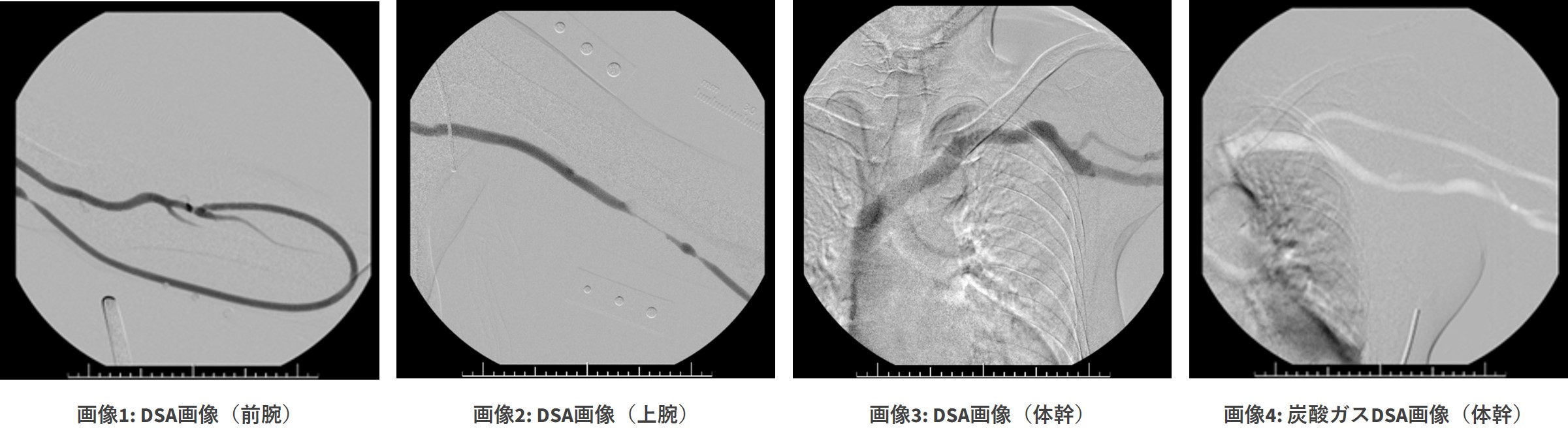 OEC One CFD_Meijo06.jpg
